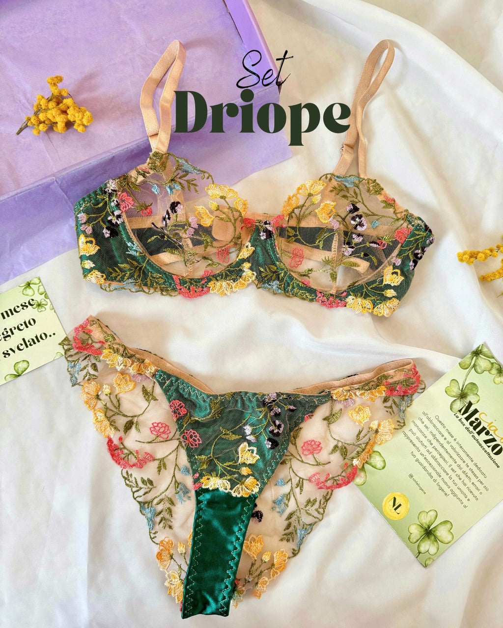 Set Driope
